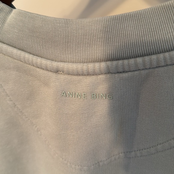 Anine Bing Tyler Satin Bing Sweatshirt in Sage - Picture 8 of 11